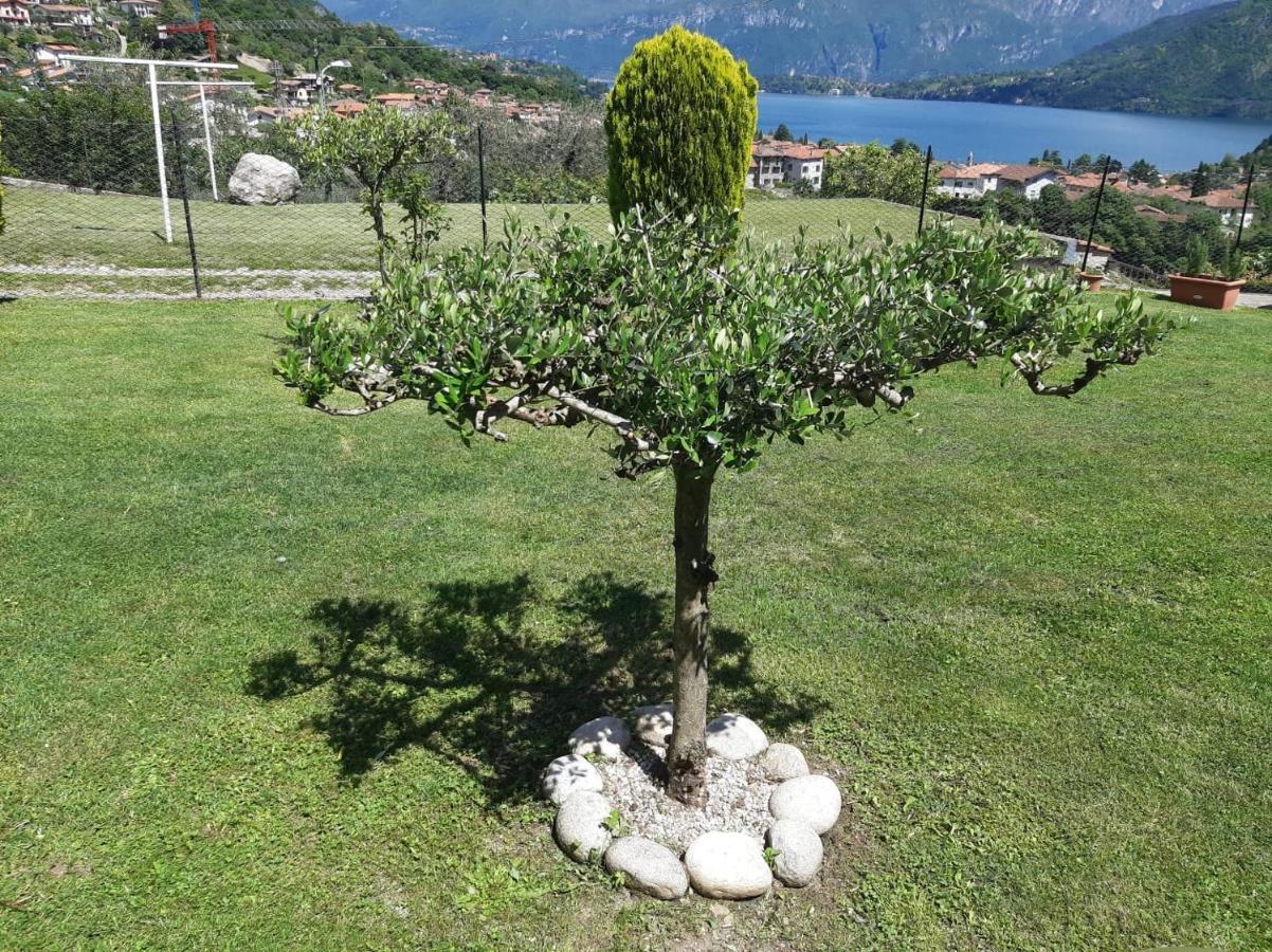 B&B Garzola Оссуччо Экстерьер фото