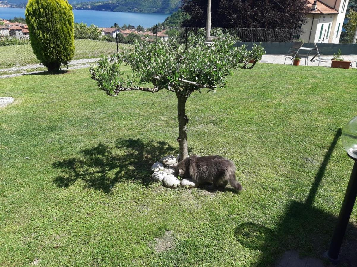 B&B Garzola Оссуччо Экстерьер фото